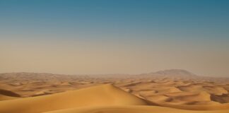 Ile jest milionerów w Dubaju?