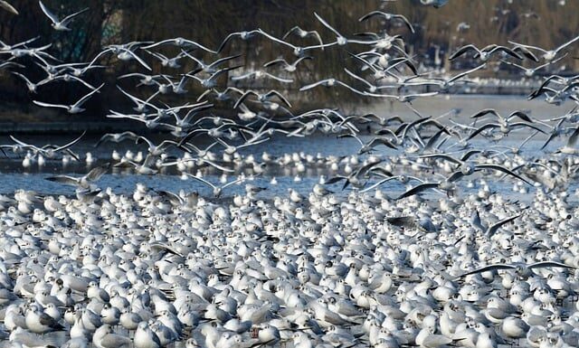 Kiedy spadną ceny działek?