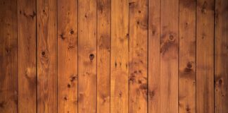 Ile kosztuje dzienne wyżywienie jednej osoby?