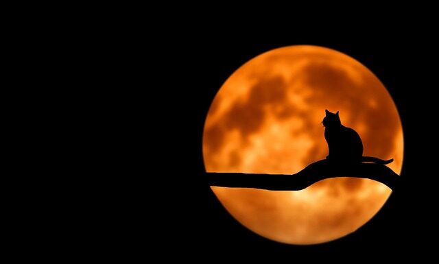 Dlaczego Luna tak spadła?