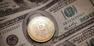 Jak obliczyć zysk z BTC?