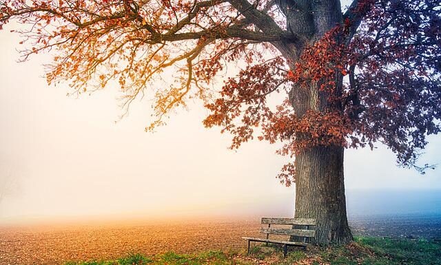Co grozi za ukrywanie dochodów?