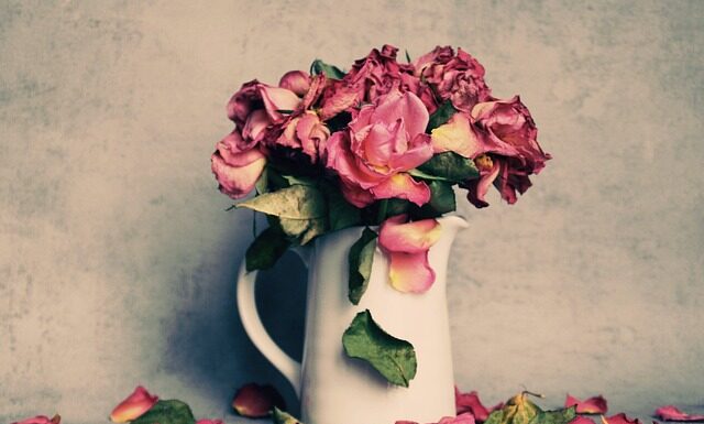 Kiedy ceny zaczną spadać?