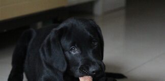 Jakie domy sprzedają się najlepiej?