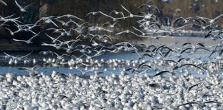 Czy opłaca się teraz sprzedać działkę?