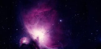 Czy jest obowiązek nauki?