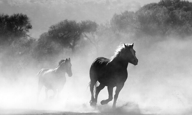 Czy w Australii można palić?