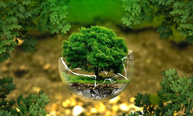 Czy drogie jest życie w Nowej Zelandii?