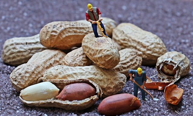 Gdzie pracują starzy ludzie?