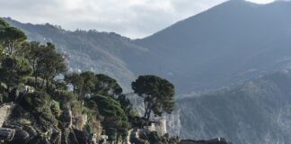 Ile kosztuje wynajem domu w Nowej Zelandii? Ile kosztuje wynajem domu w Nowej Zelandii?