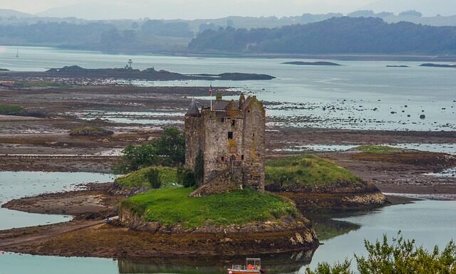 Jak aplikować o pracę przez internet?