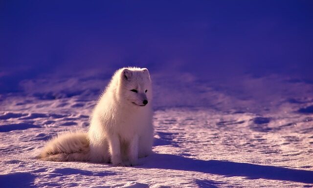 Czy opłaca się wyjechać do Norwegii?