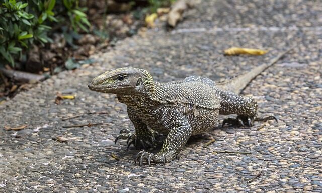Czy na to samo skierowanie można iść do kilku lekarzy?