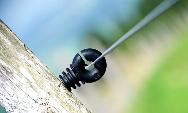 Ile polaków mieszka w Australii?